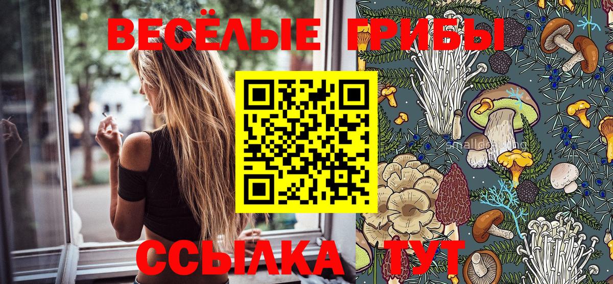 закладки  Псилоцибиновые грибы Psilocybine cubensis  Ковров  Вход с VPN  Псилоцибиновые грибы прущие грибы 